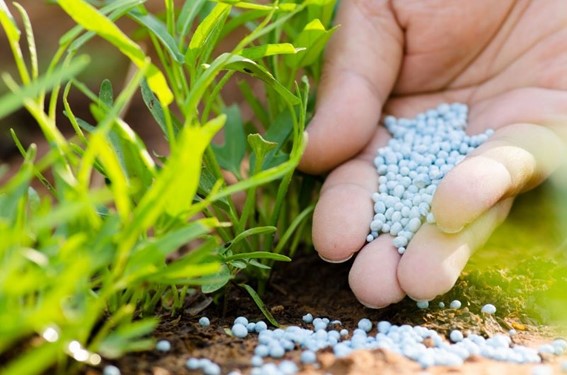 nutrición de cultivos con fertilizantes